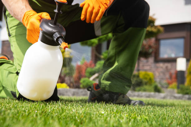 Best Residential Pest Control  in Clayton, OH