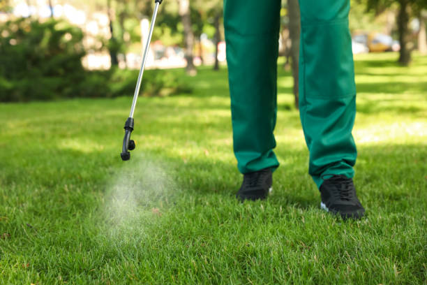 Best Best Pest Control Companies  in Clayton, OH