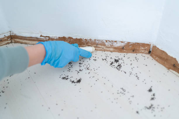 Best Wildlife Control Services  in Clayton, OH