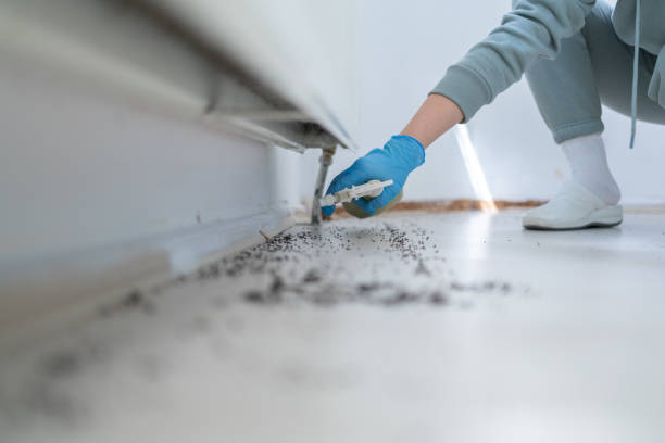 Best Emergency Pest Control  in Clayton, OH